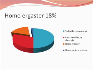 Homo ergaster 18% 