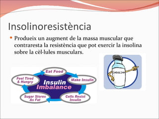 Insolinoresistència Produeix un augment de la massa muscular que contraresta la resistència que pot exercir la insolina sobre la cèl·lules musculars. 