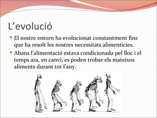 L’evolució El nostre entorn ha evolucionat constantment fins que ha resolt les nostres necessitats alimenticies. Abans l’alimentació estava condicionada pel lloc i el temps ara, en canvi, es poden trobar els mateixos aliments durant tot l’any. 