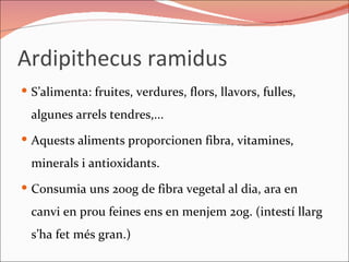 Ardipithecus ramidus S’alimenta: fruites, verdures, flors, llavors, fulles, algunes arrels tendres,... Aquests aliments proporcionen fibra, vitamines, minerals i antioxidants. Consumia uns 200g de fibra vegetal al dia, ara en canvi en prou feines ens en menjem 20g. (intestí llarg s’ha fet més gran.) 
