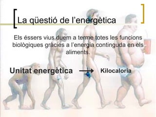 La qüestió de l’energètica Els éssers vius duem a terme totes les funcions biològiques gràcies a l’energia continguda en els aliments. Unitat energètica Kilocaloria 