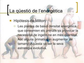 La qüestió de l’energètica Hipòtesis de Milton: Les plantes de baixa densitat energètica que consumien els primats va provocar la necessitat de ingerir-ne en més quantitat. Així alguns primats van augmentar de tamany. Aquesta va ser la seva estratègia evolutiva. 