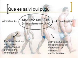 Que es salvi qui pugui SISTEMA SIMPÀTIC (mecanisme nerviós) Frena les funcions que no són indispensables per resoldre l’emergència Activa les funcions indispensables per sobreviure, el sistema cardiocirculatori. Adrenalina Noradrenalina 
