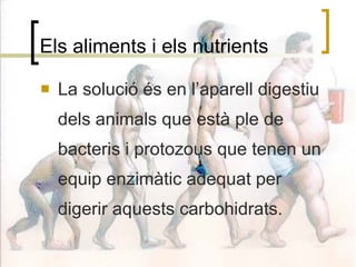 Els aliments i els nutrients La solució és en l’aparell digestiu dels animals que està ple de bacteris i protozous que tenen un equip enzimàtic adequat per digerir aquests carbohidrats. 
