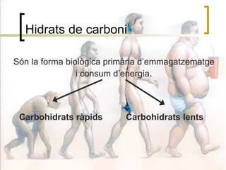 Hidrats de carboni Són la forma biològica primària d’emmagatzematge i consum d’energia . Carbohidrats ràpids Carbohidrats lents 