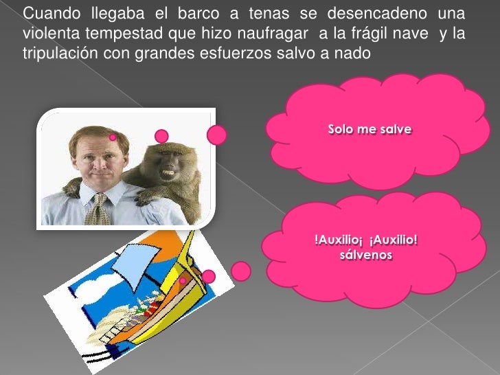 El mono y el delfín