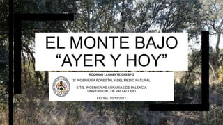 EL MONTE BAJO
“AYER Y HOY”
RODRIGO LLORENTE CRESPO
3º INGENIERÍA FORESTAL Y DEL MEDIO NATURAL
E.T.S. INGENIERÍAS AGRARIAS DE PALENCIA
UNIVERSIDAD DE VALLADOLID
FECHA: 10/12/2017
 