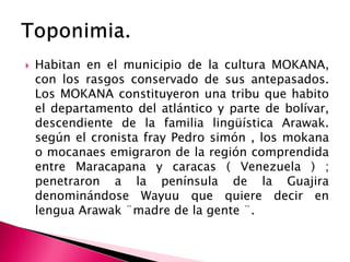  Habitan en el municipio de la cultura MOKANA,
con los rasgos conservado de sus antepasados.
Los MOKANA constituyeron una tribu que habito
el departamento del atlántico y parte de bolívar,
descendiente de la familia lingüística Arawak.
según el cronista fray Pedro simón , los mokana
o mocanaes emigraron de la región comprendida
entre Maracapana y caracas ( Venezuela ) ;
penetraron a la península de la Guajira
denominándose Wayuu que quiere decir en
lengua Arawak ¨madre de la gente ¨.
 