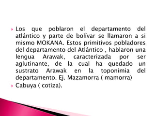  Los que poblaron el departamento del
atlántico y parte de bolívar se llamaron a si
mismo MOKANA. Estos primitivos pobladores
del departamento del Atlántico , hablaron una
lengua Arawak, caracterizada por ser
aglutinante, de la cual ha quedado un
sustrato Arawak en la toponimia del
departamento. Ej. Mazamorra ( mamorra)
 Cabuya ( cotiza).
 
