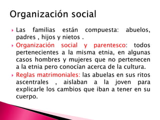  Las familias están compuesta: abuelos,
padres , hijos y nietos .
 Organización social y parentesco: todos
pertenecientes a la misma etnia, en algunas
casos hombres y mujeres que no pertenecen
a la etnia pero conocían acerca de la cultura.
 Reglas matrimoniales: las abuelas en sus ritos
ascentrales , aislaban a la joven para
explicarle los cambios que iban a tener en su
cuerpo.
 