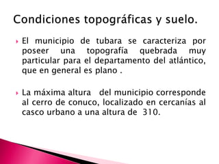  El municipio de tubara se caracteriza por
poseer una topografía quebrada muy
particular para el departamento del atlántico,
que en general es plano .
 La máxima altura del municipio corresponde
al cerro de conuco, localizado en cercanías al
casco urbano a una altura de 310.
 