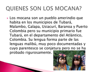  Los mocana son un pueblo amerindio que
habita en los municipios de Tubará,
Malambo, Galapa, Usiacurí, Baranoa y Puerto
C...