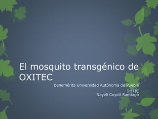 El mosquito transgénico de
OXITEC
Benemérita Universidad Autónoma de Puebla
DHTIC
Nayeli Coyotl Santiago
 