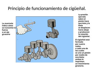 Principio de funcionamiento de cigüeñal.
La manivela
indica cómo
se transmite la
fuerza
a un eje
giratorio
La presión
ejercida
sobre el
pistón hace
que éste y la
biela
se desplacen
hacia abajo
y produzcan
la rotación
del cigüeñal.
El cigüeñal está
formado
por cuatro
codos,
a cada uno de
los cuales
se une un pistón
por medio de
una biela;
ambos le
imprimen
un movimiento
giratorio.
 