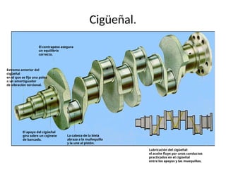 Cigüeñal.
El contrapeso asegura
un equilibrio
correcto.
Extremo anterior del
cigüeñal
en el que se fija una polea
o un amortiguador
de vibración torcional.
El apoyo del cigüeñal
gira sobre un cojinete
de bancada.
La cabeza de la biela
abraza a la muñequilla
y la une al pistón.
Lubricación del cigüeñal:
el aceite fluye por unos conductos
practicados en el cigüeñal
entre los apoyos y las muequillas.
 