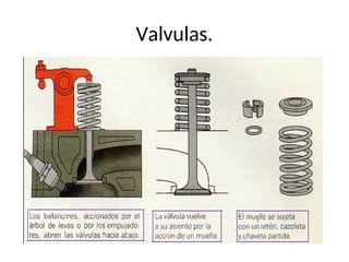 Valvulas.
 