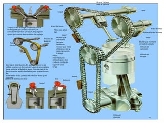 Piñón del
cigüeñal
Válvula de
escape
Válvula de
admisión
taqué
Piñón del árbol de levas
Árbol de levas
leva
Al girar la leva
abre la válvula
Leva
Taqué
Taqués. Para proteger la válvula contra
el desgaste que producirá la leva, se
coloca entre ambas un taqué. El juego se
ajusta por medio de arandelas de reglaje.
Árboles de
levas en
culata.
Polea
tensora
.
Correa de distribución. En algunos motores se
utiliza una correa dentada en lugar de una cadena
para accionar el árbol de levas. Los dientes de su
parte interior están diseñados para que enfrenen
en
el dentado de las poleas del árbol de levas y del
cigüeñal.
Cadena de distribución leva
taqué
leva
Balancín
.
tensor
Piñón
intermediario
utilizado para dos
cadenas cortas en
lugar de una
larga.
Tensor que evita
el latigueo de la
cadena cuando
trabaja.
Muelle que
mantiene
cerrada
la válvula.
Taqué.
Piñón del árbol
de l.
árbol de levas.
Muelle que mantiene
cerrada la válvula
taqué
 