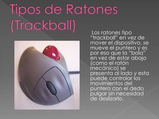 Estuar Ell Raton El Mouse | PPTX