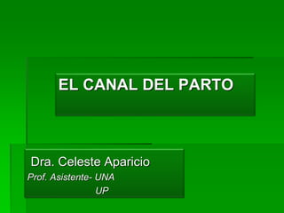 EL CANAL DEL PARTO
Dra. Celeste Aparicio
Prof. Asistente- UNA
UP
 