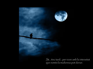 Sí… tinc tard… per viure amb la intensitat
que només la maduresa pot donar.
 