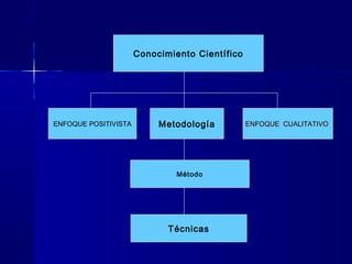 Conocimiento Científico
MetodologíaENFOQUE POSITIVISTA ENFOQUE CUALITATIVOENFOQUE CUALITATIVO
Método
Técnicas
 