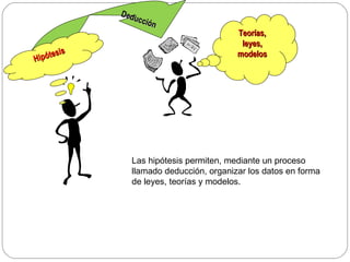 Teorías, leyes, modelos Deducción Las hipótesis permiten, mediante un proceso llamado deducción, organizar los datos en forma de leyes, teorías y modelos. Hipótesis 