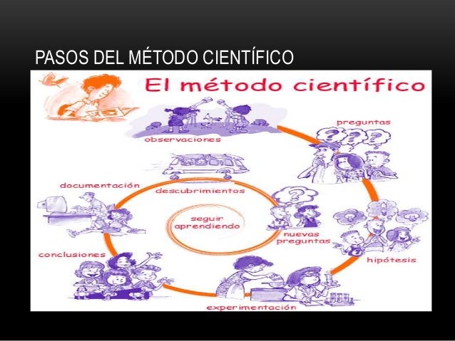 Partes Del Mtodo Cientfico