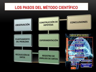 LOS PASOS DEL MÉTODO CIENTÍFICO
 