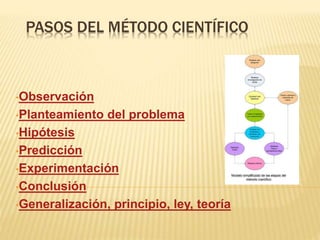 PASOS DEL MÉTODO CIENTÍFICO
•Observación
•Planteamiento del problema
•Hipótesis
•Predicción
•Experimentación
•Conclusión
•Generalización, principio, ley, teoría
 