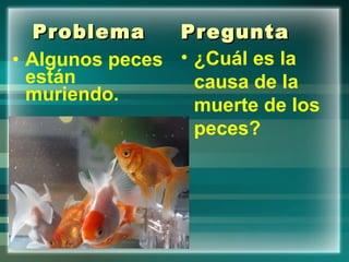 Problema Algunos peces están muriendo. Pregunta ¿Cuál es la causa de la muerte de los peces? 