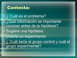 Contesta: ¿ Cuál es el problema? ¿Qué información es importante conocer antes de la hipótesis? Sugiere una hipótesis Diseña un experimento ¿ Cuál sería el grupo control y cuál el grupo experimental? 