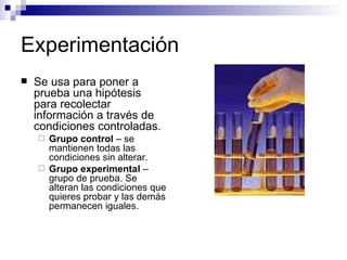 Experimentación Se usa para poner a prueba una hipótesis para recolectar información a través de condiciones controladas. Grupo control  – se mantienen todas las condiciones sin alterar. Grupo experimental  – grupo de prueba. Se alteran las condiciones que quieres probar y las demás permanecen iguales. 