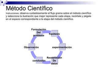 Método Científico Instrucciones:  observa cuidadosamente el flujo grama sobre el método científico y selecciona la ilustración que mejor represente cada etapa, recórtala y pégala en el espacio correspondiente a la etapa del método científico. Formulación  Del  problema  conclusión Recopilación De datos experimentación hipótesis Observación 