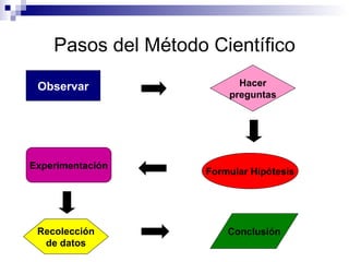 Pasos del Método Científico Observar Formular Hipótesis Experimentación Recolección de datos Conclusión Hacer preguntas 