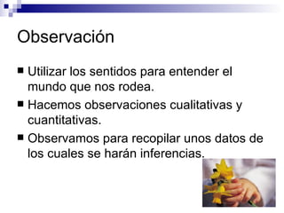 Observación Utilizar los sentidos para entender el mundo que nos rodea. Hacemos observaciones cualitativas y cuantitativas. Observamos para recopilar unos datos de los cuales se harán inferencias. 