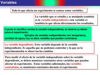 La variable que se estudia y se manipula (cambia)
es la variable independiente; esta variable es
también la que afecta directamente los resultados.
Variables
Todo lo que afecta un experimento se conoce como variables.
Cuando el científico cambia la variable independiente, se observa su efecto
sobre el experimento.
Ejemplos de variables independientes son: temperatura,
cantidad de agua y luz; es decir, variables que pueden controlarse.
La variable dependiente. Esta variable depende de la variable
independiente. Es aquella que no podemos controlar y la que en la
experimentación se observan los cambios
Para medir el efecto de la variable independiente sobre la variable
dependiente, se deben mantener constantes otras variables que puedan
afectar al experimento. Estas variables adicionales, las variables
controladas, se mantienen constantes durante el experimento.
 