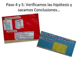 Paso 4 y 5: Verificamos las hipótesis y sacamos Conclusiones… 