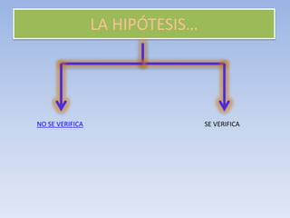 LA HIPÓTESIS…
NO SE VERIFICA SE VERIFICA
 