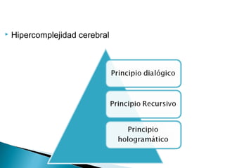  Hipercomplejidad cerebral
 