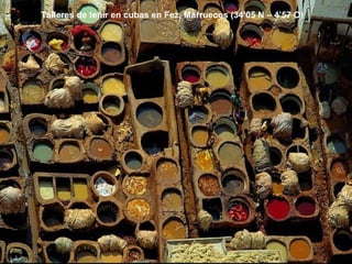 Talleres de teñir en cubas en Fez, Marruecos (34’05 N – 4’57 O) 