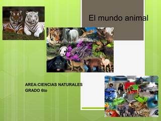 El mundo animal
AREA:CIENCIAS NATURALES
GRADO 6to
 