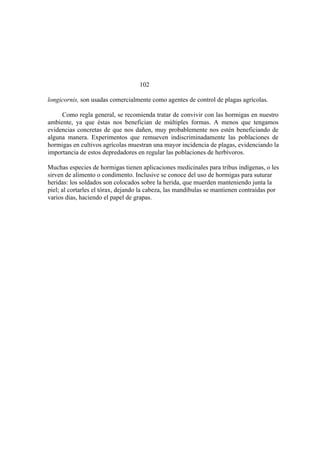 El Mundo de las Hormigas