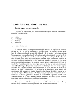 El Mundo de las Hormigas