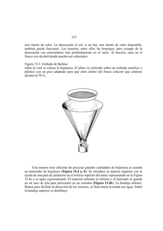El Mundo de las Hormigas