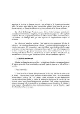 El Mundo de las Hormigas