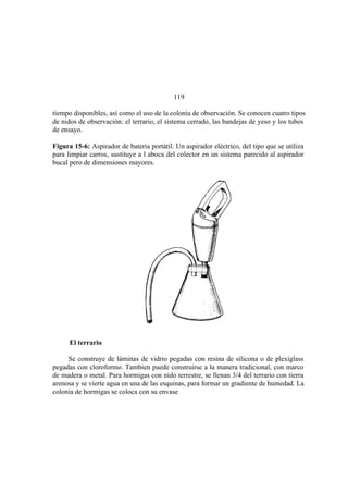 El Mundo de las Hormigas