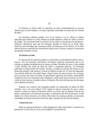 El Mundo de las Hormigas