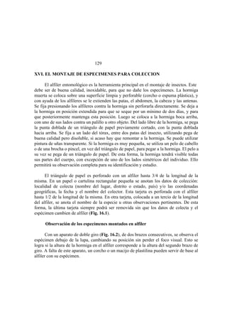 El Mundo de las Hormigas