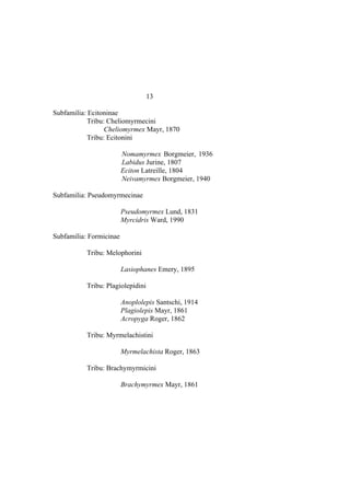 El Mundo de las Hormigas