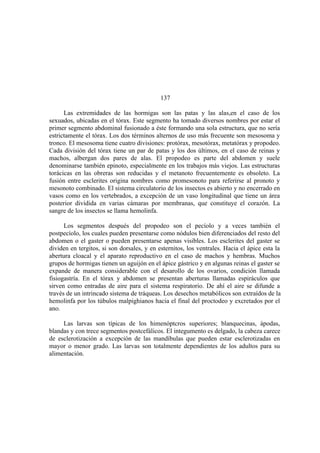 El Mundo de las Hormigas